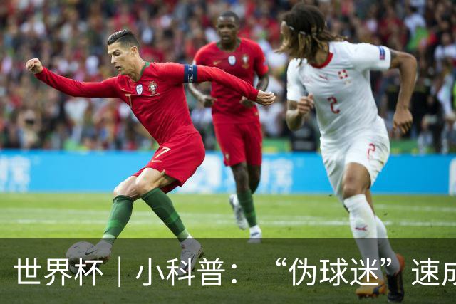 世界杯｜小科普：“伪球迷”速成手册